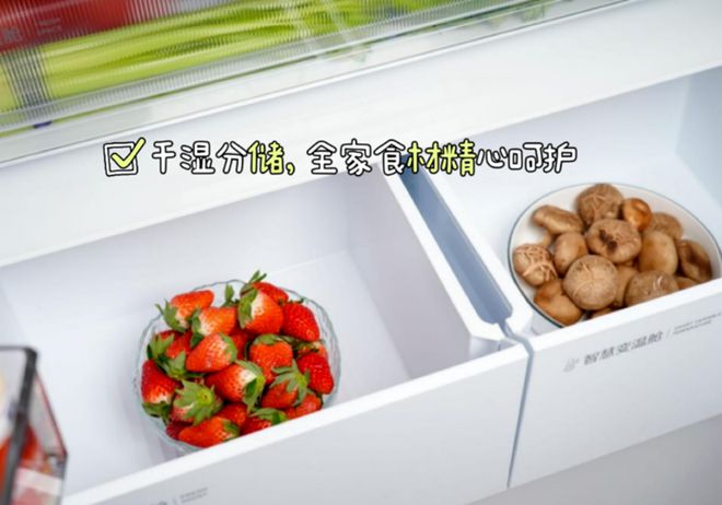 嵌入式冰箱完美之选618选购心路历程看完不迷路!(图8) 嵌入式冰箱完美之选618选购心路历程看完不迷路!(图8)