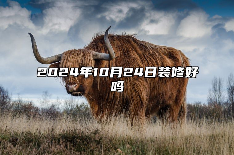 2024年10月24日装修好吗