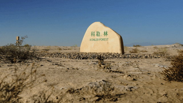 2024年人生体验合集：生活可以是一个“动词”(图9)