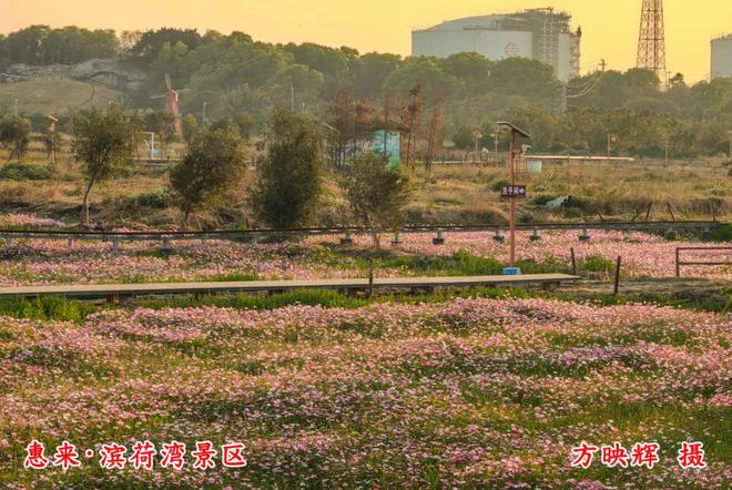 颜值与品质双提升!前詹镇农房风貌改造提升工程竣工扮靓乡村门户(图4) 颜值与品质双提升!前詹镇农房风貌改造提升工程竣工扮靓乡村门户(图4)